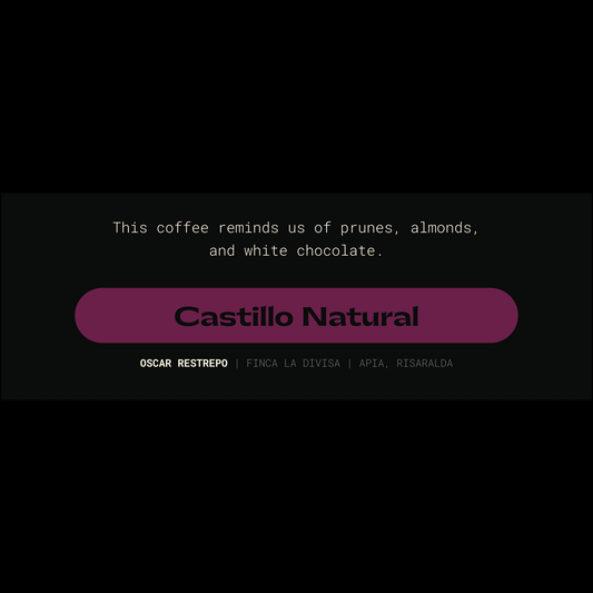 Premium Natural Castillo Coffee from Finca La Divisa - Apia, Risaralda. Experience the rich notes of prunes, almonds, and white chocolate.