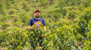 A Day in the Life of a Colombian Coffee Producer: An Interview with Oscar Restrepo
