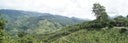 Hilly landscape with greenery and trees under a cloudy sky